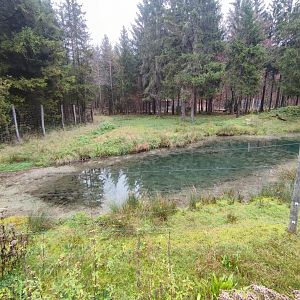 Moose enclosure 1 - Wildpark Grünau/Cumberland