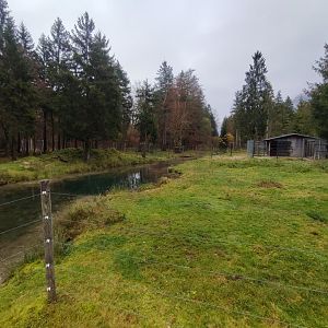 Moose enclosure 1 - Wildpark Grünau/Cumberland