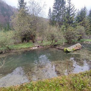 European otter enclosure - Wildpark Grünau/Cumberland