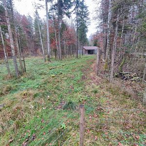 Moose enclosure 2 - Wildpark Grünau/Cumberland