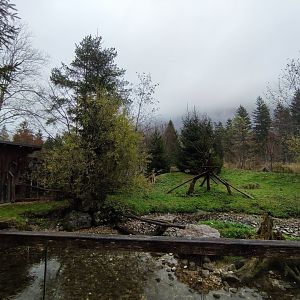 Racoon enclosure - Wildpark Grünau/Cumberland