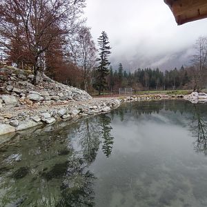 Alpine ibex enclosure - Wildpark Grünau/Cumberland
