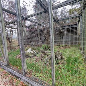 Barn owl/Common kestrel enclosure - Wildpark Grünau/Cumberland