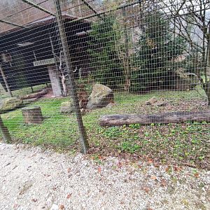 Ural owl enclosure - Wildpark Grünau/Cumberland