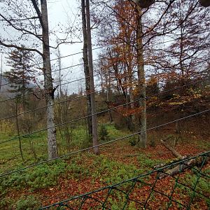 European lynx enclosure - Wildpark Grünau/Cumberland