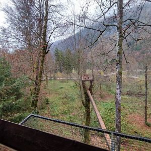 European lynx enclosure - Wildpark Grünau/Cumberland