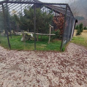 Snowy owl enclosure - Wildpark Grünau/Cumberland