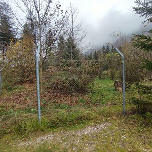 European golden jackal enclosure - Wildpark Grünau/Cumberland