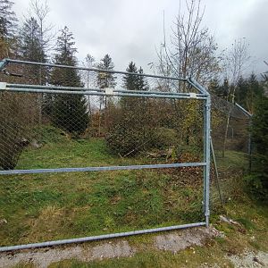 European golden jackal enclosure - Wildpark Grünau/Cumberland
