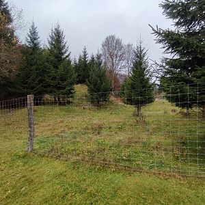 Alpine chamois enclosure 1 - Wildpark Grünau/Cumberland