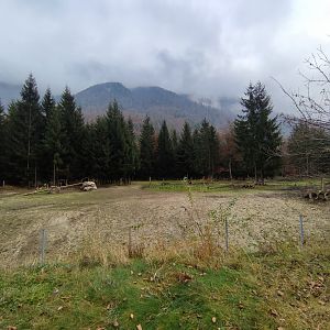 European bison enclosure - Wildpark Grünau/Cumberland