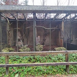 European pine marten enclosure 2 - Wildpark Grünau/Cumberland