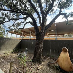 Jack’s Cafe construction