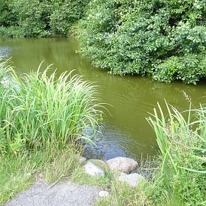 Frederikshavn Plantage - General view