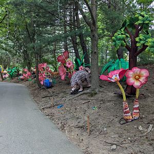 Chinese Pangolin - Lantern Light show