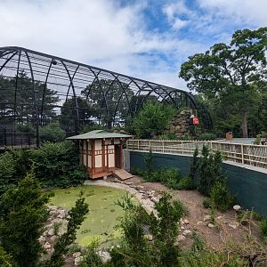 White-naped Crane Exhibit (Foreground) and Andean Condors (Background)