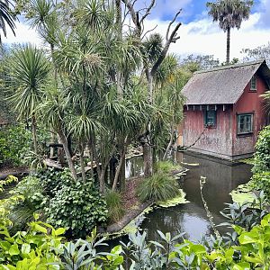 Emperor Tamarin Exhibit