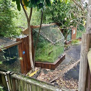 Reptile Row (Still Closed)