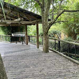 American Alligator Boardwalk