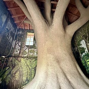 Old Giraffe House (Interior)