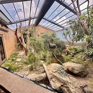 Lace Monitor Exhibit