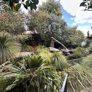 Tasmanian Devil Exhibit 1