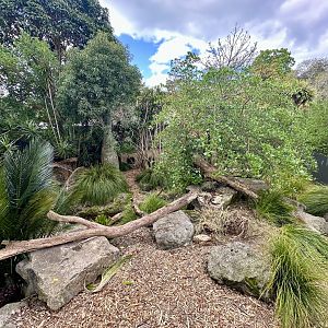 Tasmanian Devil Exhibit 2