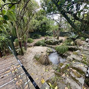 Tasmanian Devil Exhibit 3