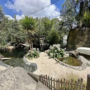 Little Blue Penguin Exhibit (The Coast)