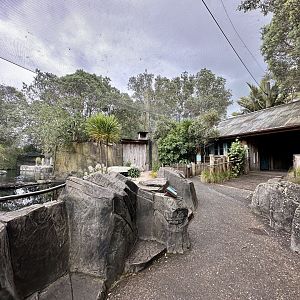 Little Blue Penguin Exhibit (The Coast)