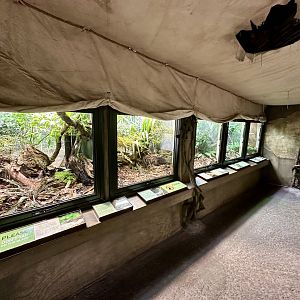 Lizard Exhibits (The Islands)
