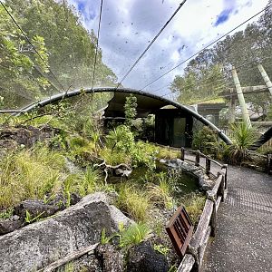 Kakariki Aviary (The Islands)