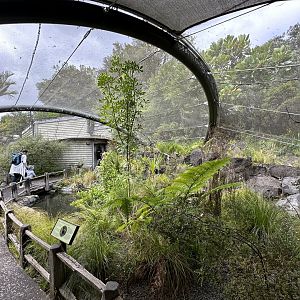 Kakariki Aviary (The Islands)