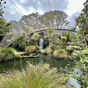 Wetlands Aviary (The Wetlands)