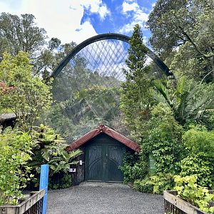 Entrance to Freeflight Aviary (The Forest)
