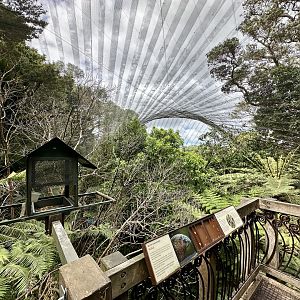 Freeflight Aviary (The Forest)