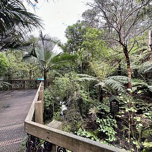 Freeflight Aviary (The Forest)