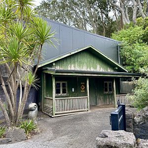 Kiwi House (The Night)