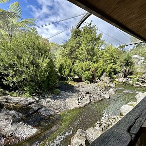 Alpine Aviary (The High Country)