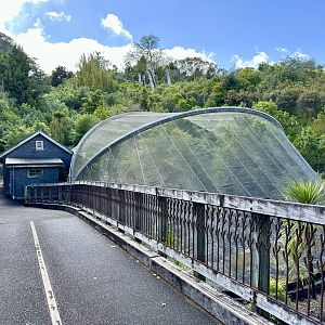Alpine Aviary (The High Country)