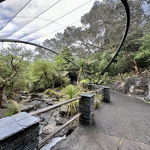 Kea Aviary (The High Country)