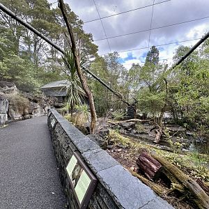 Kea Aviary (The High Country)