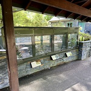 Lizard Exhibits (The High Country)