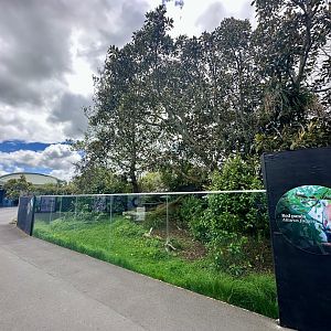 Nepalese Red Panda Exhibit