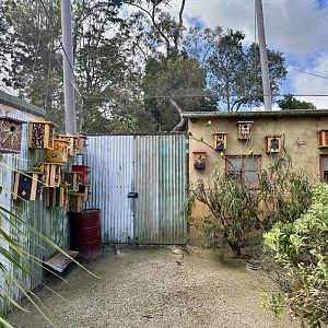 African Aviary - Lovebird Nests