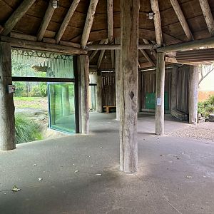 Lion Hill - Viewing Area