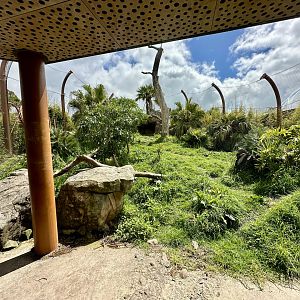 Medium Sumatran Tiger Exhibit