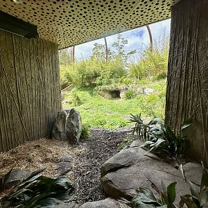 Large Sumatran Tiger Exhibit