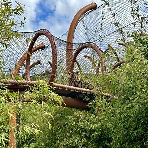 Ramah in Overhead Tunnel