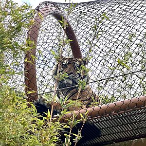 Ramah in Overhead Tunnel